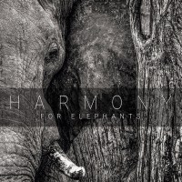 Pop Sampler: Harmony For Elephants