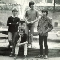 The Chameleons (Post-Punk UK): Tony Fletcher Walked On...