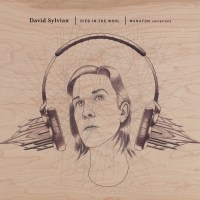 David Sylvian: Died In The Wool (Manafon Variations)