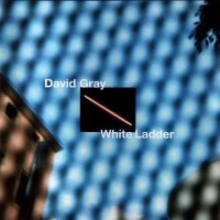 David Gray: White Ladder