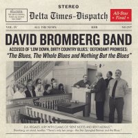 David Bromberg: The Blues, The Whole Blues And Nothing...