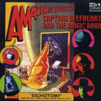 Captain Beefheart: Dichotomy