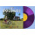 The Bolokos: Tropikal Noise (Limited Edition) (Purple Vinyl)