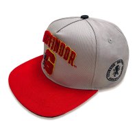 Harry Potter - College Gryffindor (Unisex Grey Snapback Cap) One Size