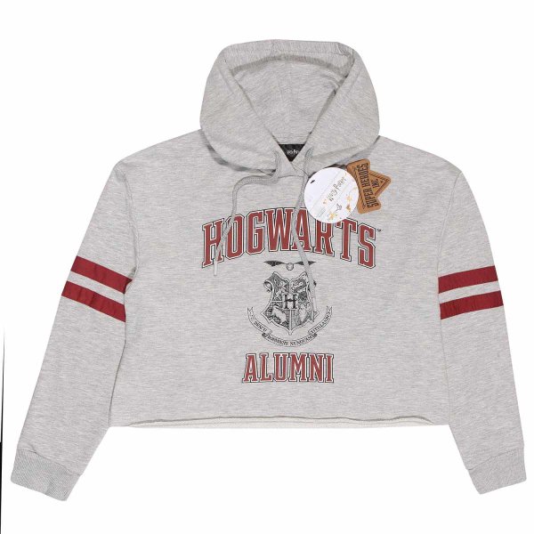 Superheroes Inc. Harry Potter - Hogwarts Alumni (Unisex Heather Grey Cropped Pullover)