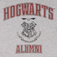 Superheroes Inc. Harry Potter - Hogwarts Alumni (Unisex Heather Grey Cropped Pullover)