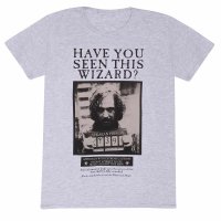 Harry Potter - Sirius Black Poster (Unisex Heather Grey...