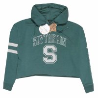 Superheroes Inc. Harry Potter - College Style Slytherin...