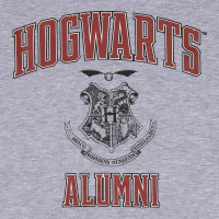 Superheroes Inc. Harry Potter - Hogwarts Alumni (Unisex Heather Grey Contrast Zip-Up Hoodie)