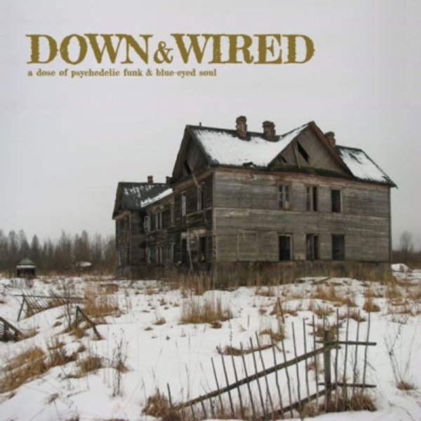 Various: Best Of Down & Wired 1 & 2