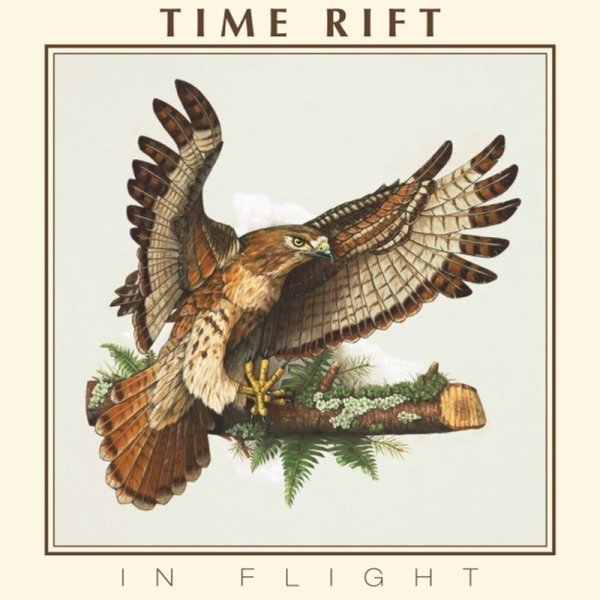 Time Rift: In Flight