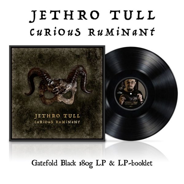 Jethro Tull: Curious Ruminant (180g)