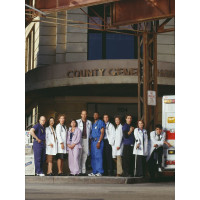 Emergency Room Box (DVD) Staffel #7 Min:...