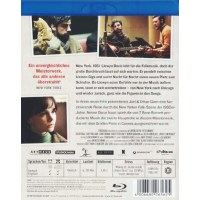 Inside Llewyn Davis (Blu-ray): - Kinowelt GmbH 0504186.1...