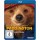 Paddington 1 - Der Kinofilm (BR) Min: /DD5.1/WS - STUDIOCANAL 0504835.1 - (Blu-ray Video / Family)