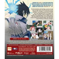 Naruto Shippuden - Staffel 10 (BR) Das Treffen der...