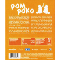 Pom Poko (BR) Min: 119/DD/WS - LEONINE 88875102859 -...