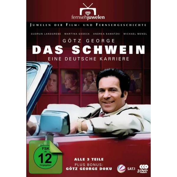 Das Schwein - Eine deutsche Karriere (Komplette Serie) - Al!ve 6416651 - (DVD Video / Drama / Tragödie)