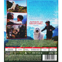 Sebastian und die Feuerretter (Blu-ray): - Euro Video...