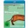 Wiener Dog (BR) Min: DD5.1WS - EuroVideo 302723 - (Blu-ray Video / Kom�die)