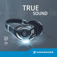 Various Artists: Sennheiser HD 700: True Sound -...