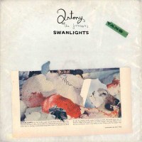 Antony & The Johnsons: Swanlights - Rough Trad 951722...