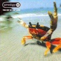 The Prodigy: The Fat Of The Land - XL/Beggars 857292 -...