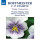 Franz Anton Hoffmeister (1754-1812): Violakonzerte in D & B - Naxos 0747313216277 - (CD / Titel: A-G)