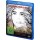 Vorahnung, Die (BR) Min: 94/DD5.1/WS - STUDIOCANAL 0502080.1 - (Blu-ray Video / Thriller)