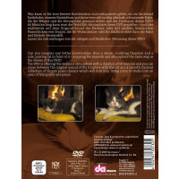 Various Artists - Katze Am Kamin - da Music GmbH & Co K 873073-2 - (DVD Video / Sonstige / unsortiert)