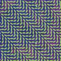 Animal Collective: Merriweather Post Pavilion - Domino...