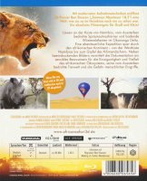 African Safari (BR) 3D/2D - STUDIOCANAL 0504189.1 -...