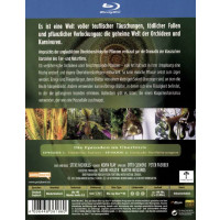 Die Tricks der Pflanzen (Blu-ray) - WVG 7736186POY -...