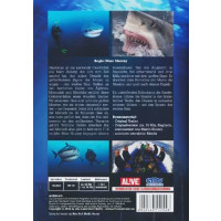 Sharkwise - Al!ve 6415254 - (DVD Video / Dokumentation)