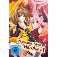 Righteous Ninja - Haruka #1 - AV Visionen 40203 - (DVD...