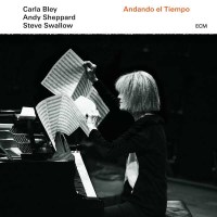 Andando El Tiempo (180g) - ECM Record 4784863 - (Vinyl /...