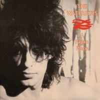 The Waterboys: A Pagan Place (remastered) (180g) -...