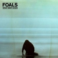 Foals: What Went Down - Wmi 2564607503 - (LP / W)