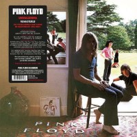 Pink Floyd: Ummagumma (remastered) (180g) - Plg Uk...