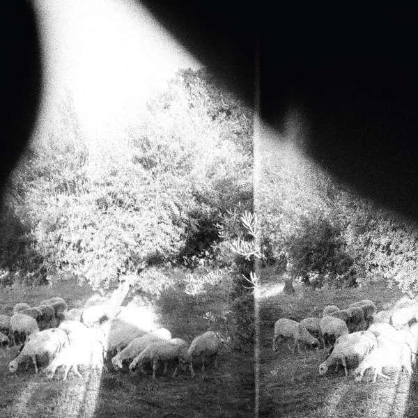 Godspeed You! Black Emperor: Asunder, Sweet And Other Distress (180g) - Constellat 00082167 - (Vinyl / Allgemein (Vinyl))