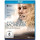 Rückkehr nach Montauk (BR) Min: 106/DD5.1/WS - LEONINE 88985480459 - (Blu-ray Video / Drama)