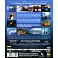 Unser blauer Planet II (Komplette Serie) (Blu-ray) - WVG Medien GmbH 7736496POY - (Blu-ray Video / Sonstige / unsortiert)