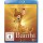 Bambi #1 (BR) Disney Classics Min: 70/DD5.1/WS - Disney BGY0158104 - (Blu-ray Video / Zeichentr.)