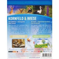 Kornfeld und Wiese (Blu-ray) - ALIVE AG  - (Blu-ray Video / Sonstige / unsortiert)