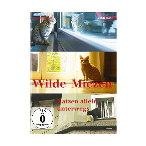 Wilde Miezen - Katzen allein unterwegs -   - (DVD Video / Sonstige / unsortiert)