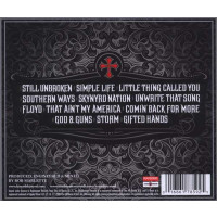 Lynyrd Skynyrd: God & Guns -   - (CD / G)