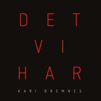 Kari Bremnes: Det Vi Har - Strange Ways  - (CD / Titel: A-G)