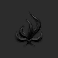 Bury Tomorrow: Black Flame (Explicit) - RCA  - (CD /...