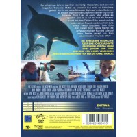 Echo der Delphin (DVD) Freundsch.f.Leben Min: 86DD5.1WS -...