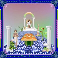 Jonathan Wilson: Rare Birds (180g) - PIAS  - (Vinyl / Pop...